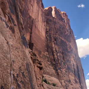 Meet your Posher, Maddy